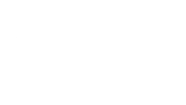 si computer